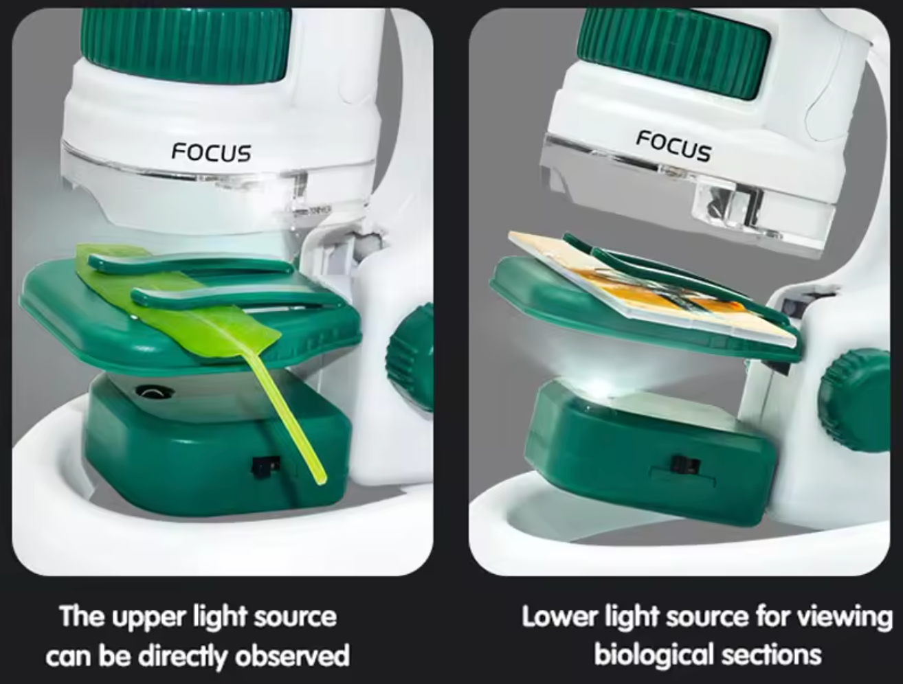Pocket Discovery Microscope