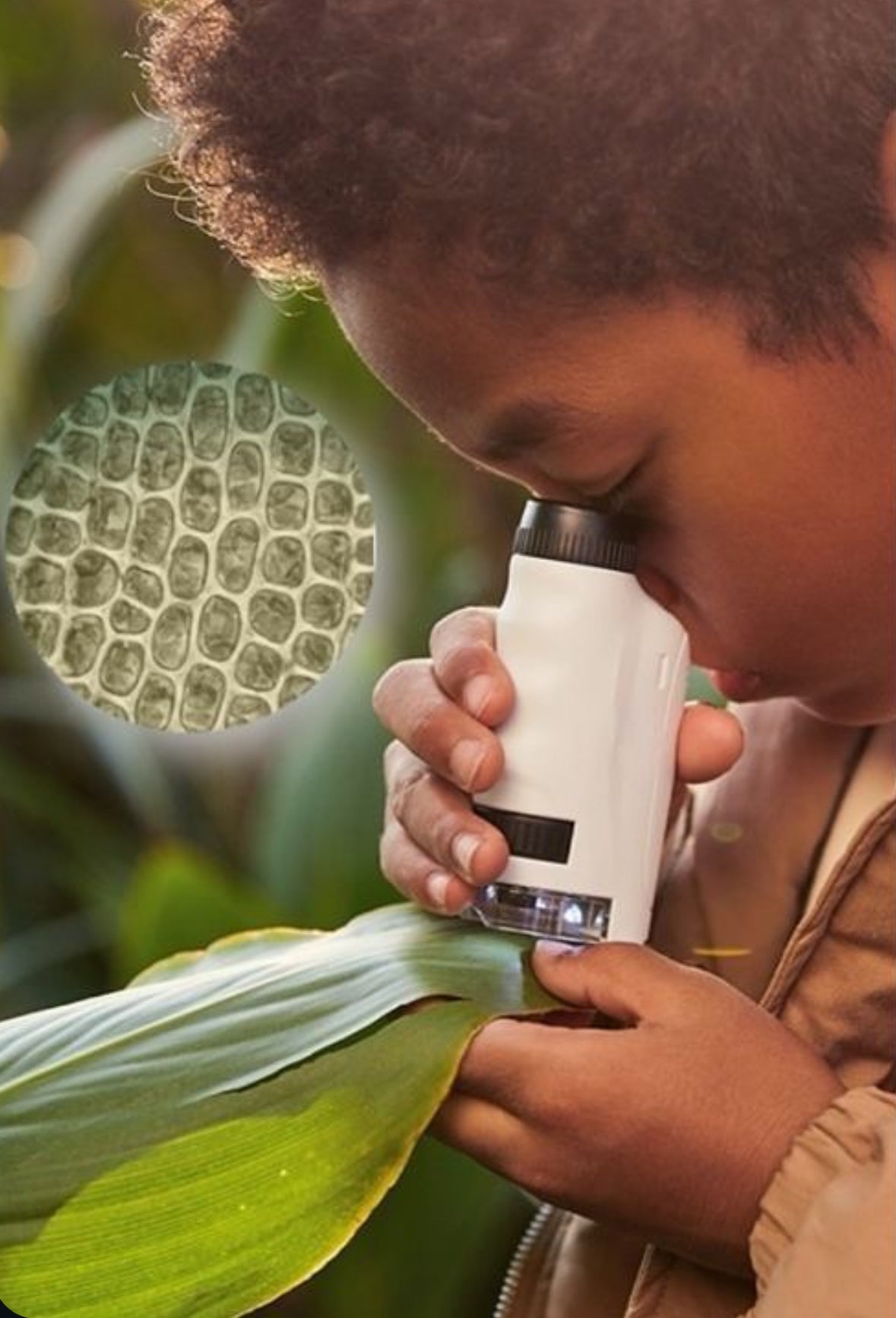 Pocket Discovery Microscope