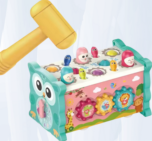 Interactive Learning Owl