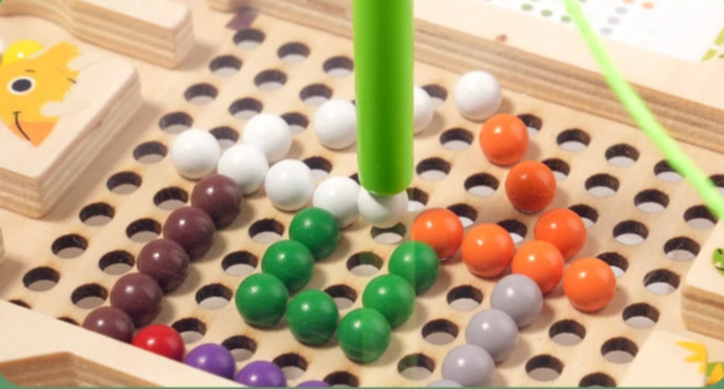 Montessori Magnetic Maze