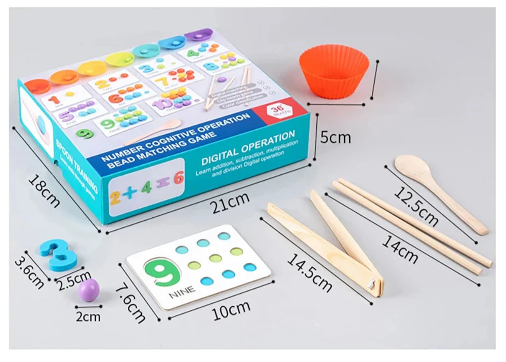 Montessori wooden counting and sorting toy dimensions